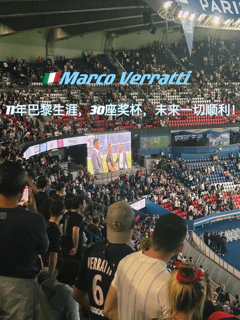 安排觀賽行