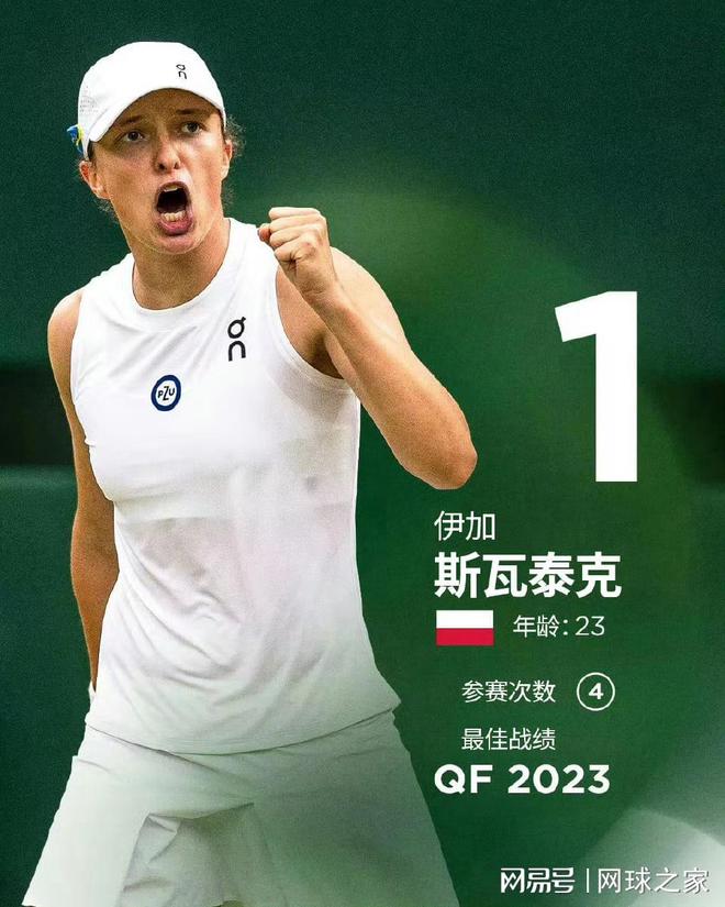 这种专注于 这种专注于