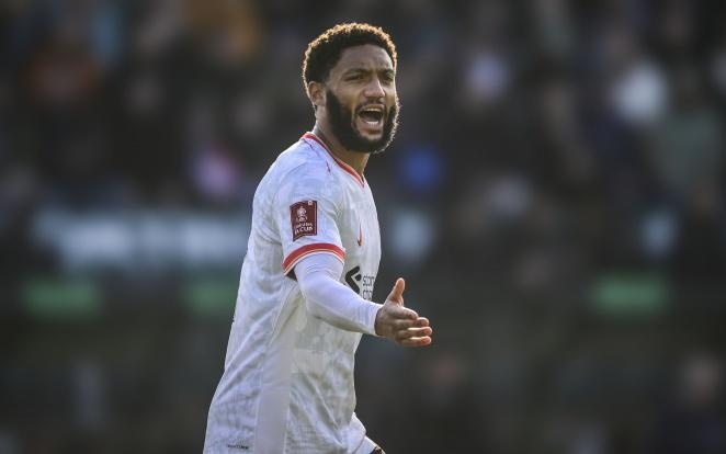 他之所以提 他之所以提